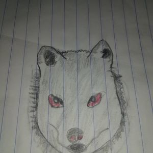 Meet your Posher, Honey